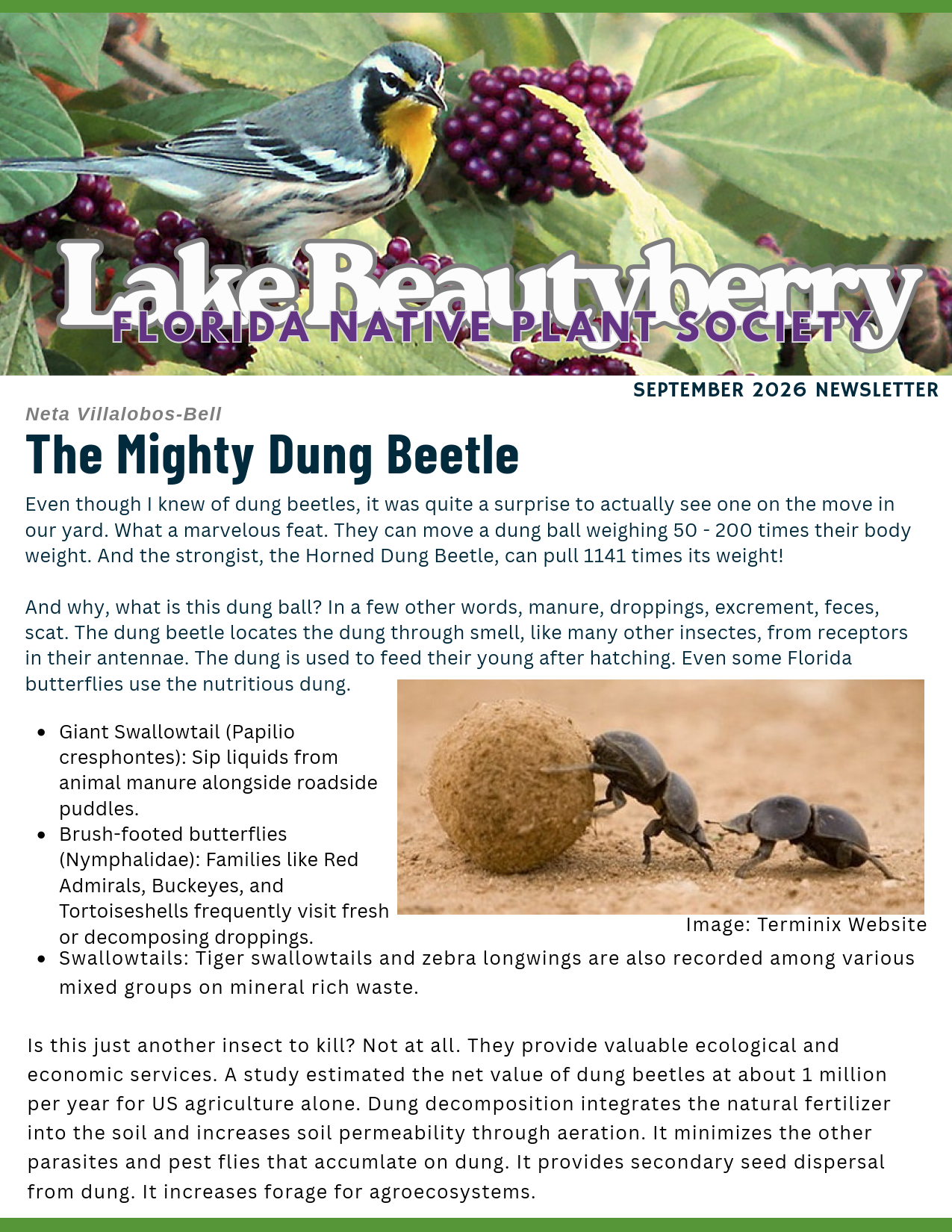 Lake Beautyberry Newsletter: Spetember 2026